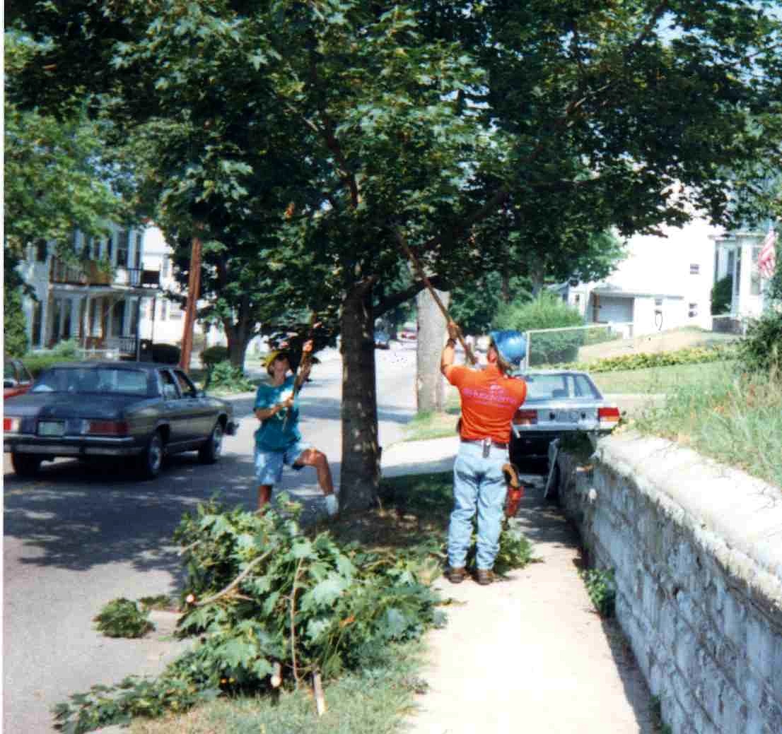 Citizens Pruning  Corps